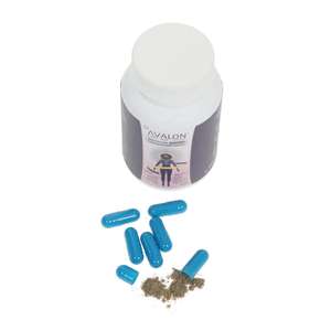 Cápsulas de Extracto de Frijol Blanco al por Mayor de Fábrica, Adelgazamiento Rápido, Píldoras Herbales Naturales para la Pérdida de Peso, Personalización OEM - Product Image 5