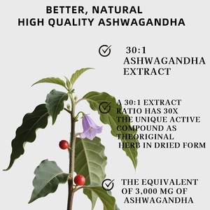 Gomitas de Ashwagandha Herbales Naturales a Precio de Fábrica para el Control del Estrés, Apoyo a la Relajación y un Sueño Saludable - Product Image 3