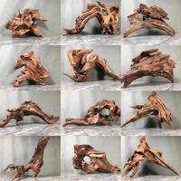 Bois flotté écologique de luxe pour aquascaping, décoration de aquarium et terrarium pour reptiles, emballé en boîte
