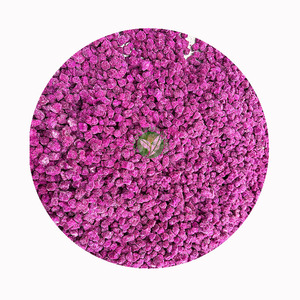 Proveedor Mayorista de <span class=keywords><strong>Fruta</strong></span> del Dragón <span class=keywords><strong>Morada</strong></span> Congelada XMSD para Procesamiento de Alimentos, Certificación HACCP ISO, Empaque OEM - Product Image 1