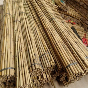 Cheap Price High Quality Bamboo Sticks for <b>Garden</b> & Outdoor Camping 100% Natural Bamboo Eco-Friendly Eco2go Vietnam - Product Image 4
