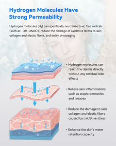 Suyzeko duvara monte hidrojen su duş jeneratörü ayakta tipi ev cilt bakımı ve banyo SPE Tech için - Product Image 6