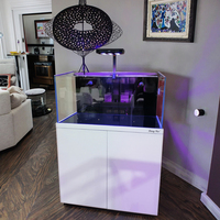 Aquarium rectangulaire moderne en verre ultra-clair de luxe pour poissons de récif, aquarium d'eau de mer pour salon