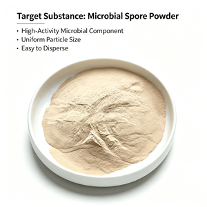Insecticide biologique hautement efficace à base de Beauveria Bassiana 10-20 milliards d'UFC/g, poudre soluble dans l'eau - Product Image 2
