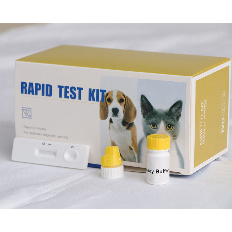 Kit de prueba rápida de anticuerpos de Leptospira canina para perros, kit de prueba rápida de Leptospira para perros, kit de prueba veterinaria Para perros mascotas