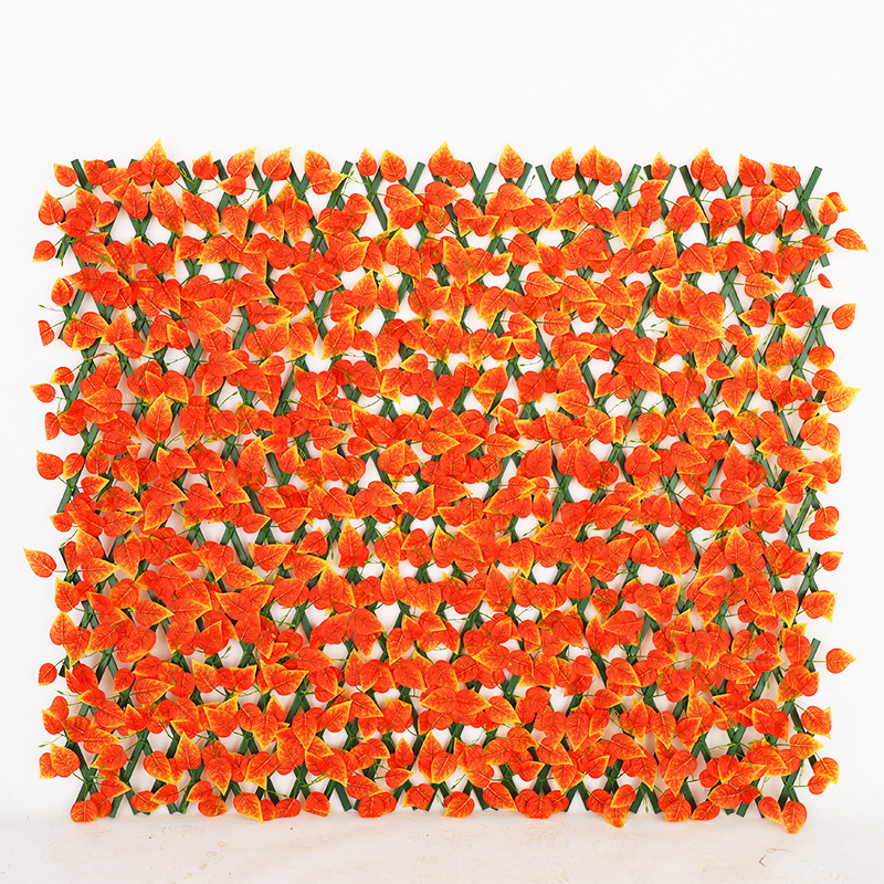 ใบไม้เลื้อยสีแดง