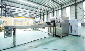 Máquina para Envolver Rollitos de Primavera Vietnamitas y Samosas, Máquina para Hacer Rollitos de Primavera, Descuento - Product Image 5