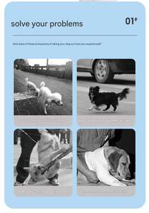 <span class=keywords><strong>Collar</strong></span> Reflectante de Alta Visibilidad para Perro con Material de Nailon Resistente y Hebilla de Liberación Rápida, <span class=keywords><strong>Collar</strong></span> para Perro Seguro para Caminar de Noche - Product Image 3