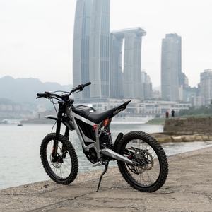 Motocicleta Eléctrica Todoterreno de Alta Velocidad y Estabilidad, 8KW, Batería de Litio, Impermeable, Doble Suspensión, Sin Vibraciones, para Conducción en Senderos - Product Image 3