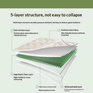 Housse de <span class=keywords><strong>matelas</strong></span> simple <span class=keywords><strong>en</strong></span> mousse à mémoire de forme et latex pour étudiants <span class=keywords><strong>en</strong></span> dortoir, coussin doux, mobilier de maison, literie pour <span class=keywords><strong>location</strong></span> - Product Image 4