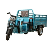 Tricycle électrique de transport à plateau ouvert 60V 800W-3000W, 3 roues, robuste, pour adultes, logistique, vente directe usine
