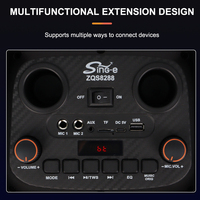 Enceinte Bluetooth sans fil extérieure double 8 pouces Sing-e ZQS8828X, haute puissance, pour karaoké et soirées