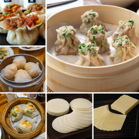 Machine électrique à faire des enveloppes de Siu Mai, presse à peaux de Dim Sum 3000-3600 pièces/h pour la cuisine à domicile et les restaurants Yum Cha