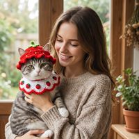 Ensemble de costumes pour animaux de compagnie sur le thème des fruits : chapeau tricoté en forme de fraise et collier assorti, design réglable pour accessoire de décoration de fête pour chat