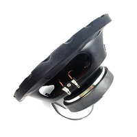 Caisson de basses actif à double bobine haute puissance 2500W avec amplificateur intégré Spl Bass Subwoofer Speaker