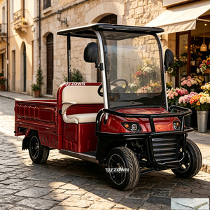 Nouvelle arrivée : Voiturette de golf électrique homologuée pour la route, 4 places, alimentée au lithium, pour hôtels et sites touristiques - Product Image 1