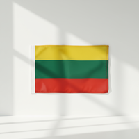 Drapeau national personnalisé en polyester 5x3 pieds Congo Brazzaville Bénin Mali Lituanie Guinée Rouge Jaune Vert