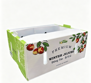 Cajas de Plástico Plegables Ecológicas para Empacar Vegetales y Huevos, Contenedor para Brócoli, Precio de Fábrica, <span class=keywords><strong>Caja</strong></span> de Brócoli España - Product Image 5