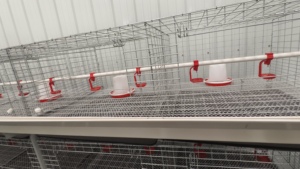Jaula para Pollos de Acero Galvanizado de 3 Niveles y 2 Puertas, Capacidad para 60 Aves, Resistente a la Oxidación - Product Image 6