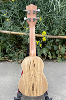 Vente en gros Aiersi Marque 21 pouces ukulélé soprano de haute qualité Curly Spalted Maple Ukelele Guitare Cordes Instrument de musique
