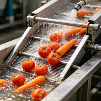 Machine à laver à bulles à grande capacité, conçue pour un fonctionnement continu, idéale pour les lignes d'assemblage des usines de transformation de produits frais.
