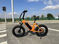 Vélo électrique pour enfant 48V avec moteur Bafang, pneus larges 20"4.0, vélo électrique sûr et sécurisé