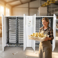 Prix de gros Grand incubateur d'oeufs de poule entièrement automatique 10000 pour la ferme