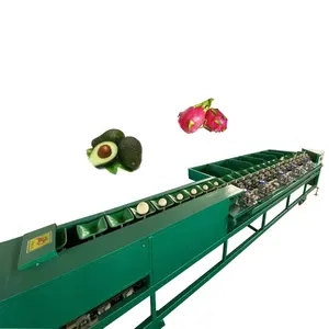 Fruit potato orange onion avocado grading washing and sorting machine