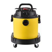 Vente en gros 80L Nettoyeur de tapis électrique Humide et sec Nouvel état Extracteur sous vide pour le nettoyage domestique pour l'extérieur