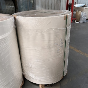Papier doublement enduit de PE, 150-320 g/m², imprimable offset, en rouleau pour fonds de gobelets à boissons chaudes et froides - Product Image 5