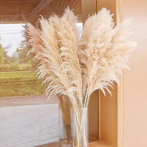 Decoración de Paisajismo <span class=keywords><strong>con</strong></span> <span class=keywords><strong>Flores</strong></span> Secas Estilo Natural al por Mayor <span class=keywords><strong>con</strong></span> Hierba de Pampas Grande para Decoración de Bodas - Product Image 1