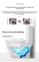 Offre Spéciale : Ensemble WC Monobloc en Céramique avec Siphon en S et Siphon en P pour Salle de Bain - Articles Sanitaires