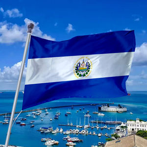 ธงป้ายเอลวาเดอร์โลพีซีแบบปรับแต่งได้สำหรับ3x5ft ผ้าไวนิลและผ้าไหม100% โพลีเอสเตอร์ตกแต่งกลางแจ้งสไตล์ชายธง - Product Image 2