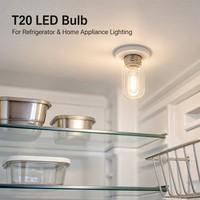 Ampoule LED SMD WOOJONG Glass T20 0.6W E12 Base PSE 90-110V Marché Japonais Éclairage Résidentiel 6500K Lumière du Jour CRI80
