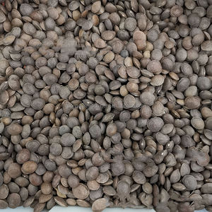 Máquina Descascaradora de Nueces de Sacha Inchi, Máquina Descascaradora de Plukenetia Volubilis, Máquina para Romper la Cáscara de Semillas de Sacha Inchi - Product Image 4