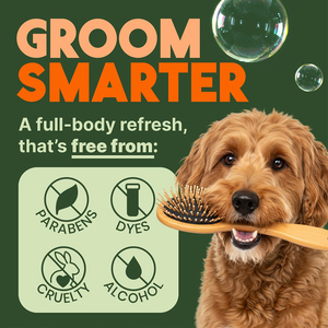 Champú <span class=keywords><strong>para</strong></span> Perros de Marca Blanca con Neem <span class=keywords><strong>y</strong></span> Cítricos, Alivio contra <span class=keywords><strong>Pulgas</strong></span> <span class=keywords><strong>y</strong></span> <span class=keywords><strong>Garrapatas</strong></span>, Sin Parabenos ni Colorantes, 592 ml, <span class=keywords><strong>para</strong></span> Marcas Mayoristas, OEM, ODM - Product Image 5