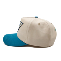 Gorra de Béisbol de 5 Paneles de Algodón Personalizada, Dos Tonos, Cierre a Presión, Logotipo Bordado, Gorra de Golf de Perfil Alto, Gorras de Béisbol con Visera Curva