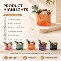 Diffuseur d'arômes en pierre de cristal en gros, diffuseur d'huiles essentielles, support de parfum, logo personnalisé, OEM, ODM
