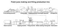 Ligne de production de jus automatique à haute efficacité, prix usine de transformation de fruits pour les entreprises en démarrage