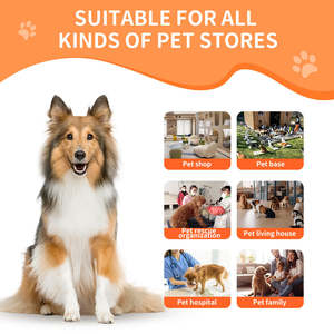 Cabina de Secado para Mascotas de Acero Inoxidable, 350L, Moderna, Lujosa, Inteligente, Antibacteriana y Ecológica, Salón de Peluquería Canina Personalizado - Product Image 6