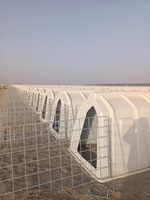 Cage à bétail confortable et saine, enclos à veau de haute qualité, niche à veau, enclos pour bétail TERRUI, abri pour bétail