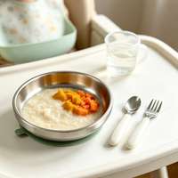 Ensemble bol et assiette pour bébé en acier inoxydable 304 à double paroi, base d'aspiration en silicone, cuillère et fourchette incluses, ensemble d'alimentation pour enfants de qualité alimentaire
