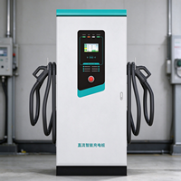 Chargeur rapide DC EV double prise, station de recharge Energy Park avec écran tactile LCD, lecteur de carte, IP54, installation en zone de stationnement