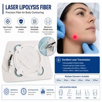 Endolaser 980nm 1470nm Diode Laser Médical Lipolyse Liposuccion Endolaser Machine de Lifting Facial