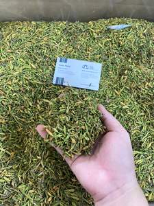 สมุนไพรแบบเวียดนามดอกมะละกอสำหรับผู้ชายตากแห้งสีเหลืองเขียวเข้มเมล็ดพืช/ใบ/2025คุณภาพสูง - Product Image 3