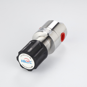 Vanne de régulation de pression d'air bidirectionnelle NPT1/2 "F avec régulateur de pression et vanne de purge - Product Image 6
