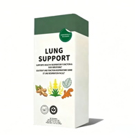 Mélange de tisanes OEM ODM certifié GMP ISO22000, 20 sachets de 40g, gingembre, curcuma, molène, menthe verte, sans caféine