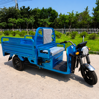 Tricycles électriques à trois roues de haute qualité, meilleur rapport qualité-prix, pour adultes, avec caisse ouverte, pouvant accueillir deux personnes, 800W, robustes, avec éclairage LED, capacité de charge de 200-300 kg