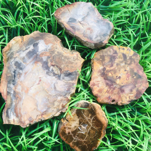 <strong>Wholesale</strong> Bulk Natural Colorful Petrified Specimen Wood fossil <strong>Raw</strong> Stone Slab Healing <strong>Crystal</strong> for Decoration - Product Image 6