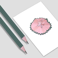 Ensemble de crayons à dessin professionnels Keep Smiling, 12 pièces, matériau écologique, ensemble de crayons à dessin personnalisable